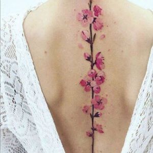 Meet your Posher, Alejandra